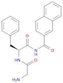 GLY-PHE β-NAPHTHYLAMIDE