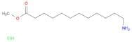 Methyl 12-aminododecanoate hydrochloride