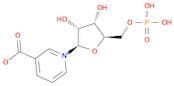 NICOTINIC ACID MONONUCLEOTIDE