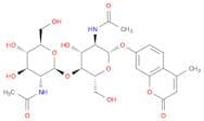 4-METHYLUMBELLIFERYL β-D-N,N'-DIACETYL-CHITOBIOSIDE