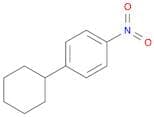4-CYCLOHEXYL-1-NITROBENZENE 98
