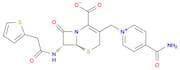 Cephalonium
