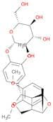 FORSYTHIN