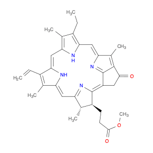 MPP A
