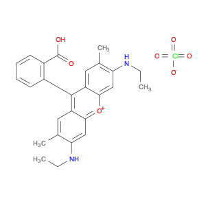 RHODAMINE 19 PERCHLORATE