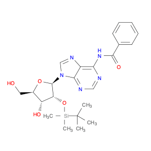 N6-benzoyl-2'-O-(tert-butyldiMethylsilyl)adenosine