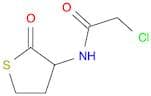 N-CHLOROACETYL-DL-HOMOCYSTEINE THIOLACTONE