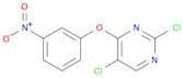 2,5-dichloro-4-(3-nitrophenoxy)pyriMidine