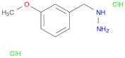 3-METHOXYBENZYLHYDRAZINEDIHYDROCHLORIDE
