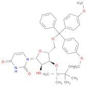 5'-O-(4,4'-DiMethoxytrityl)-3'-O-t-butyldiMethylsilyl uridine