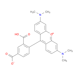 5-Carboxytetramethylrhodamine