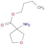 Butyl 3-aminotetrahydrofuran-3-carboxylate