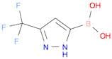 5-Trifluoromethyl-1H-pyrazole-3-boronic acid