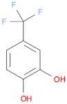 1,2-Benzenediol, 4-(trifluoromethyl)-