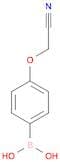 4-Cyanomethoxyphenylboronic acid