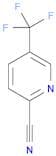 2-Pyridinecarbonitrile, 5-(trifluoromethyl)-