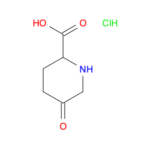 5-oxopiperidine-2-carboxylic acid hydrochloride