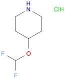 4-(difluoromethoxy)piperidine hydrochloride