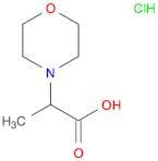2-(4-Morpholinyl)propanoic acid hydrochloride