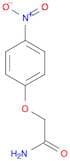 2-(4-nitrophenoxy)acetamide