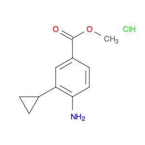 Methyl 4-amino-3-cyclopropylbenzoate hydrochloride