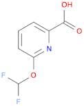 6-(Difluoromethoxy)picolinic acid