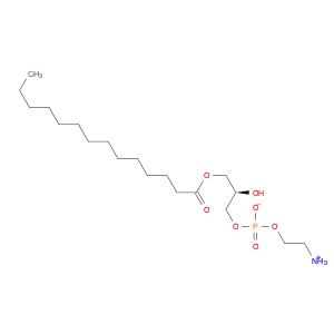 1-myristoyl-2-hydroxy-sn-glycero-3-phosphoethanolamine