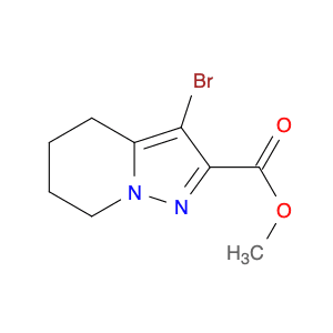Methyl 3-bromo-4,5,6,7-tetrahydropyrazolo[1,5-a]pyridine-2-carboxylate