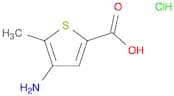 2-Thiophenecarboxylic acid, 4-amino-5-methyl-, hydrochloride (1:1)