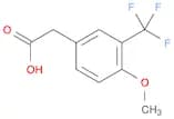 Benzeneacetic acid, 4-methoxy-3-(trifluoromethyl)-