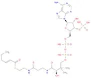 Coenzyme A, S-(2E)-2-hexenoate