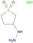 Hydrazine, (tetrahydro-1,1-dioxido-3-thienyl)-, hydrochloride (1:1)