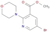 3-Pyridinecarboxylic acid, 5-bromo-2-(4-morpholinyl)-, methyl ester