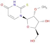 Uridine, 2'-O-methyl-2-thio-