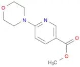 3-Pyridinecarboxylic acid, 6-(4-morpholinyl)-, methyl ester