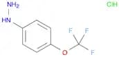 Hydrazine, [4-(trifluoromethoxy)phenyl]-, hydrochloride (1:1)