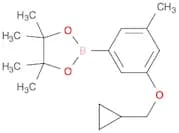 1,3,2-Dioxaborolane, 2-[3-(cyclopropylmethoxy)-5-methylphenyl]-4,4,5,5-tetramethyl-