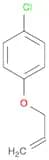 Benzene, 1-chloro-4-(2-propen-1-yloxy)-