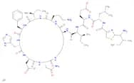 Bacitracin zinc