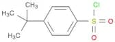 Benzenesulfonyl chloride, 4-(1,1-dimethylethyl)-
