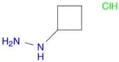 Hydrazine, cyclobutyl-, hydrochloride (1:1)