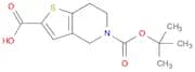 Thieno[3,2-c]pyridine-2,5(4H)-dicarboxylic acid, 6,7-dihydro-, 5-(1,1-dimethylethyl) ester