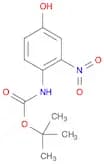 Carbamic acid, (4-hydroxy-2-nitrophenyl)-, 1,1-dimethylethyl ester (9CI)