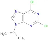 9H-Purine, 2,6-dichloro-9-(1-methylethyl)-