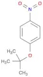 Benzene, 1-(1,1-dimethylethoxy)-4-nitro-