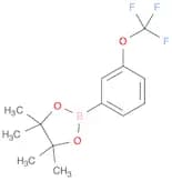 1,3,2-Dioxaborolane, 4,4,5,5-tetramethyl-2-[3-(trifluoromethoxy)phenyl]-