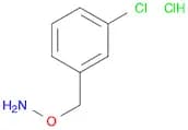 Hydroxylamine, O-[(3-chlorophenyl)methyl]-, hydrochloride (1:1)