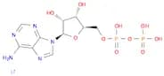 Adenosine 5'-(trihydrogen diphosphate), trilithium salt (9CI)