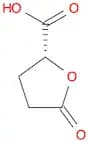 (R)-5-Oxotetrahydrofuran-2-carboxylic acid