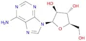 Adenine 9-β-D-arabinofuranoside